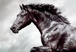 The Conqueror by Debbie Boon - Limited Edition on Canvas sized 42x29 inches. Available from Whitewall Galleries