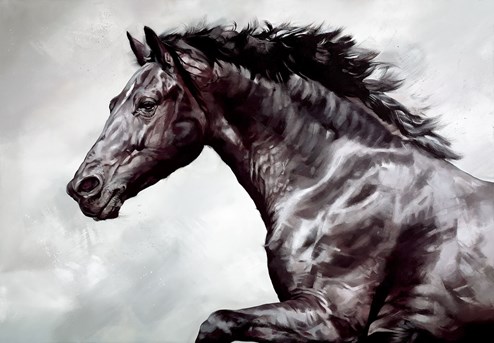 The Conqueror by Debbie Boon - Limited Edition on Canvas
